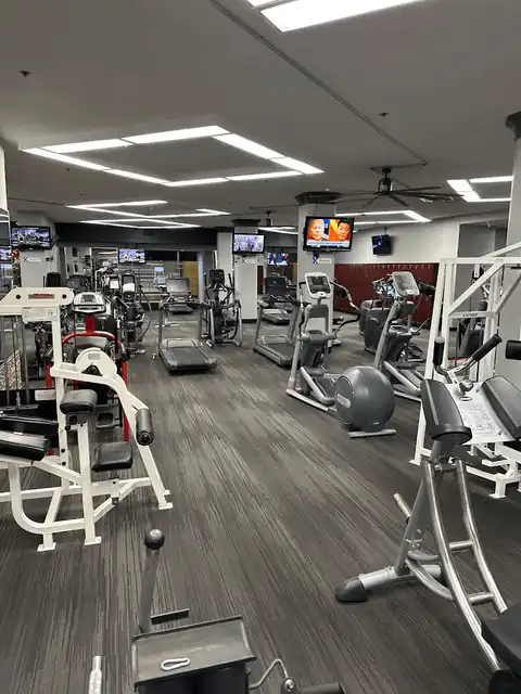 Cardio and strength equipment at Vine Fitness