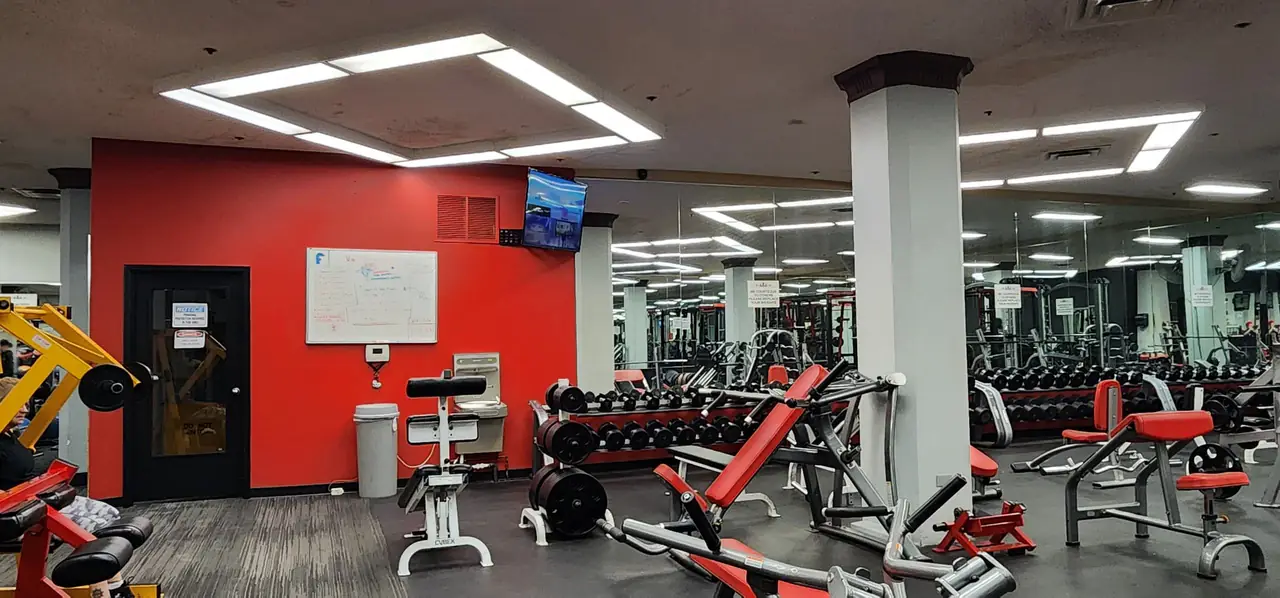 Free weights and dumbbell racks at Vine Fitness