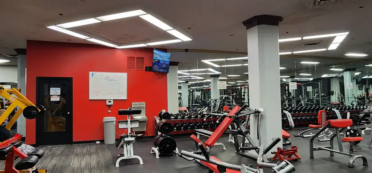 Free weights and dumbbell racks at Vine Fitness